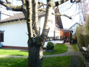 Foto Haus Rheinbach-Oberdrees