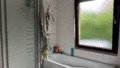 Bad Wohnung Erdgeschoß