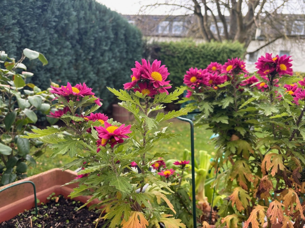 Herzlich Willkommen!