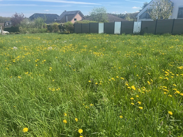 Foto der Immobilie (6470)